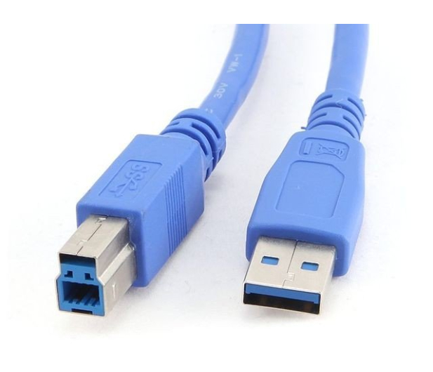 GEMBIRD Kabel USB - USB-B 0,5m CCP-USB3-AMBM-0.5M - 182298 - zdjęcie 2